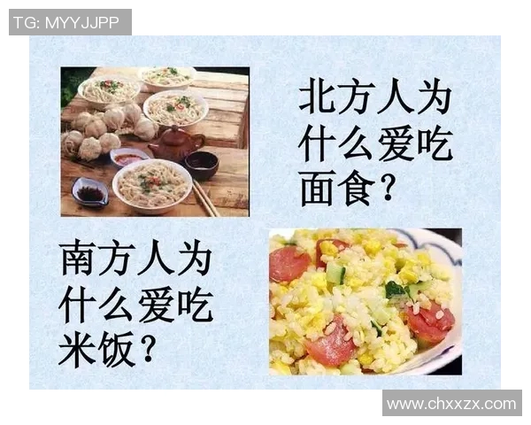 南方与北方的文化碰撞与生活方式差异探讨之旅