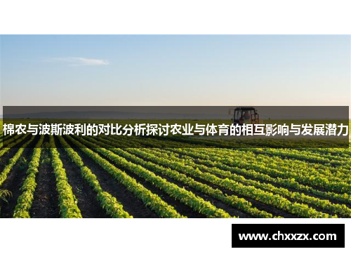 棉农与波斯波利的对比分析探讨农业与体育的相互影响与发展潜力
